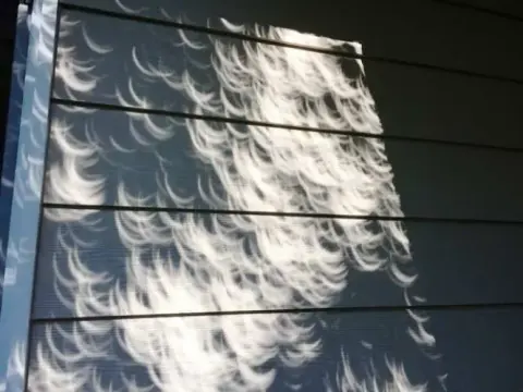 Crescent-shaped shadows cast on a wall during the eclipse