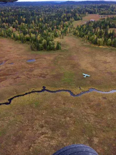 An aerial view of forest and a winding road