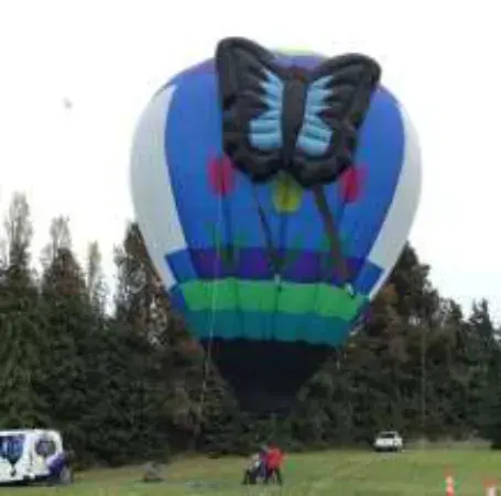 A hot air balloon with a butterfly design inflating above a field