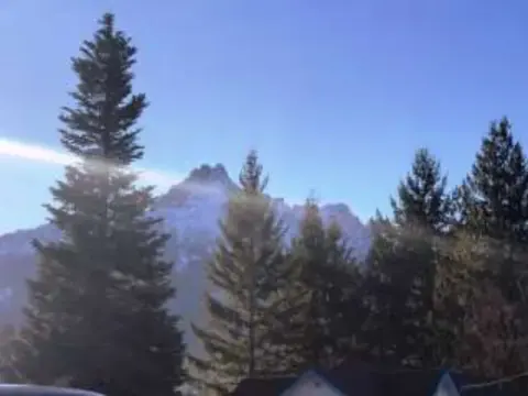 Sun shining through trees in front of a mountain peak