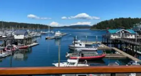 Boats moored in a marina with the island shore behind