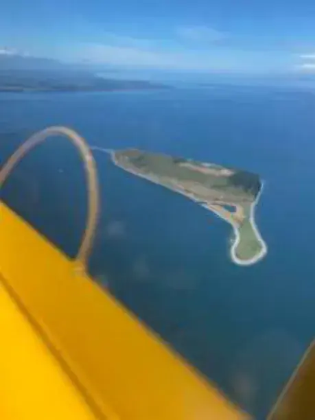 A sandspit and water seen from a yellow airplane