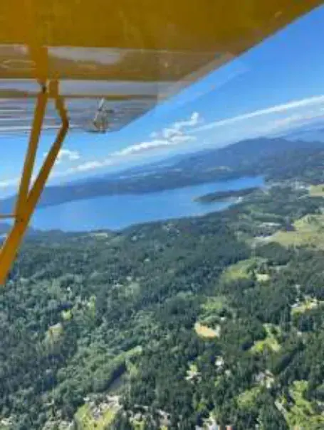 Islands and forest seen below a yellow wing