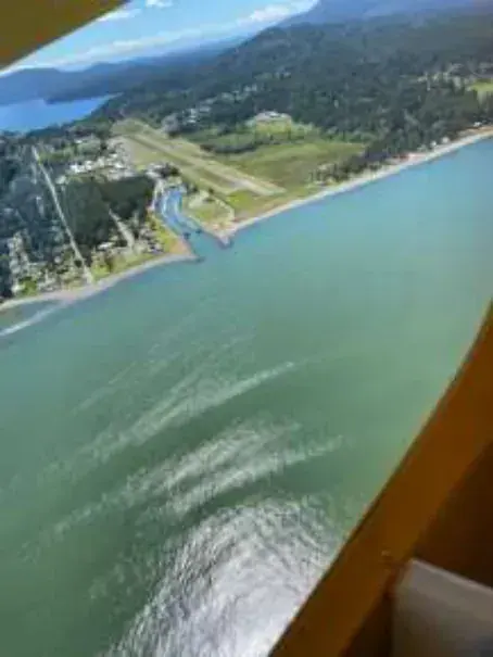 A shoreline and water seen from the cockpit