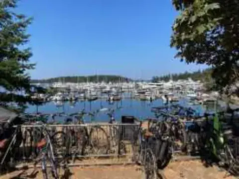 Boats in a harbor with bicycles in the foreground
