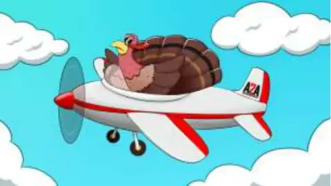 A cartoon turkey flying a small red and white airplane
