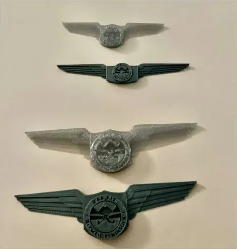 Several 3D printed pilot wings badges