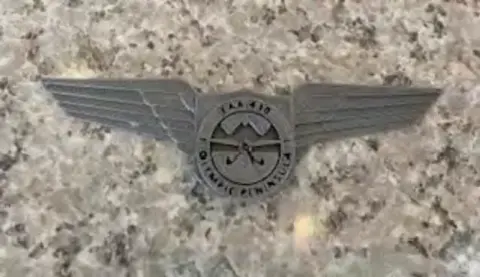 A finished 3D printed silver wings badge