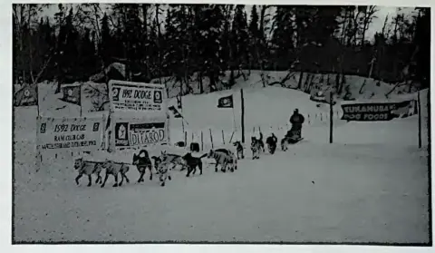 A musher comes into the Skwentna checkpoint on March 7.