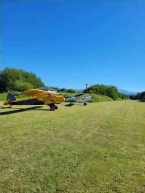 Yellow airplane parked on a grass strip