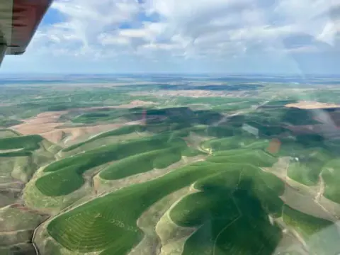 Aerial view of rolling wheat fields in eastern Washington