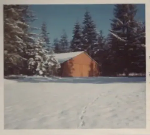 Small cabin in the snow among evergreen trees